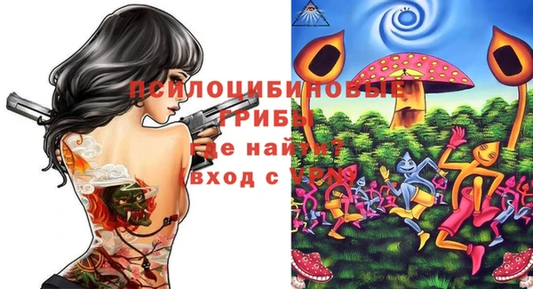 метадон Покачи