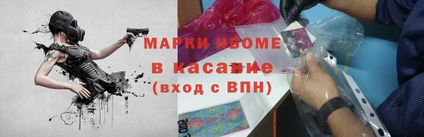 дурь Пересвет