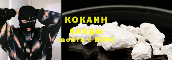 твердый Пестово