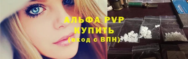 дурь Пересвет