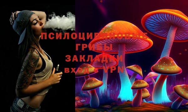 метадон Покачи