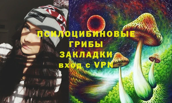 эйфоретик Бронницы