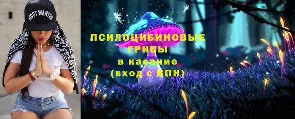 прущая мука Переславль-Залесский